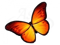 Бабочка 108